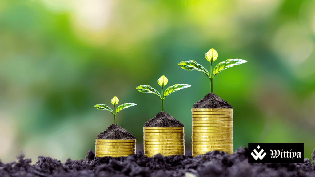 Plant growing on a set of coins, symbolizing growth and investment in Blue Cloud Softech.