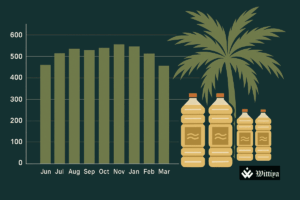 India’s palm oil imports fall sharply in April