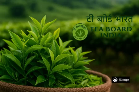 Workers plucking tea leaves in Indian gardens marking record 254.67 m kg tea exports