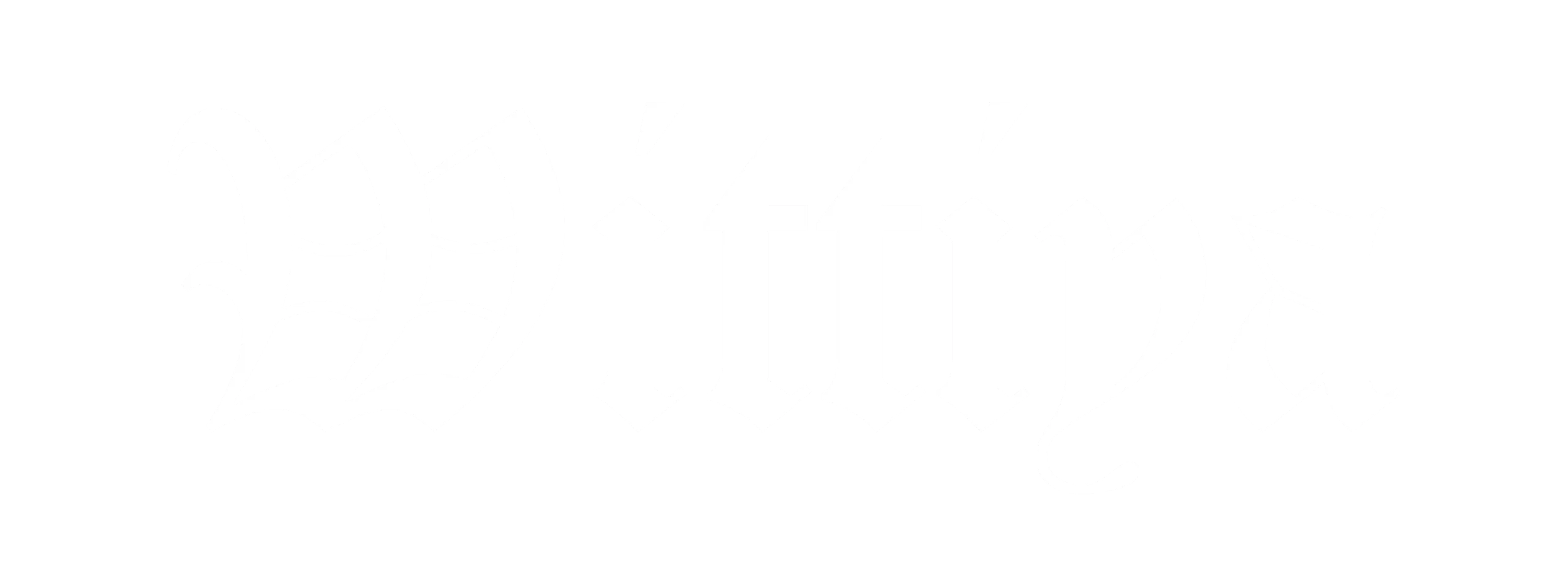 Wittiya