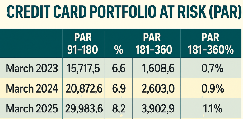 A Nation on Plastic: How India’s Spending Spree Turned Sour